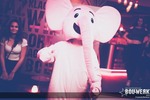 PINK ELEPHANT LAND The Journey will never end 13415268