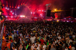 Electric Love Festival 2016 13455605