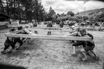 Strongest Ironteam Südtirol 2016 13501151