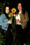 Sunflowerparty mit 