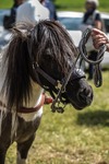 Grosses Sommerfest der freiwilligen Feuerwehr Mareit 13511871