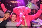 PINK Elephant LAND 13513318