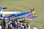 Red Bull am Spitzerberg 13520725