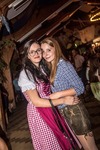 Oktoberfest 2016 - Die Wies'n in Wiesen 13553971