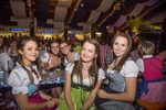 Oktoberfest 2016 - Die Wies'n in Wiesen 13553972