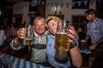 Oktoberfest 2016 - Die Wies'n in Wiesen 13553979