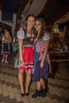 Oktoberfest 2016 - Die Wies'n in Wiesen 13554034