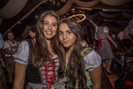 Oktoberfest 2016 - Die Wies'n in Wiesen 13554097