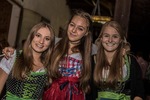 Oktoberfest 2016 - Die Wies'n in Wiesen 13554249