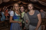 Oktoberfest 2016 - Die Wies'n in Wiesen 13554848