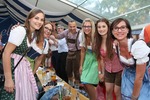 Wiener Wiesn-Fest 13567086