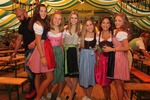 Wiener Wiesn-Fest 13567100