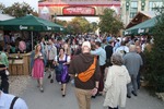 Wiener Wiesn-Fest 13567115