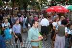 Wiener Wiesn-Fest 13567134