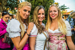 Wiener Wiesn-Fest 13570626