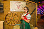 Wiener Wiesn-Fest 13570646