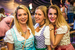 Wiener Wiesn-Fest 13570722