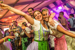 Wiener Wiesn-Fest 13578061