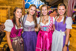 Wiener Wiesn-Fest 13578067