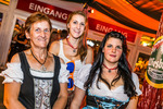 Wiener Wiesn-Fest 13578181
