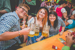 Wiener Wiesn-Fest 13587361