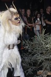 Krampus Spektakel Oberösterreich 13606649