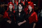 Halloween - The Dark Forest 13626033