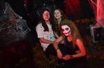 Halloween - The Dark Forest 13626058