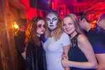 Duke Halloween 13630146