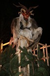 Salzkammergut-Krampuslauf 13688028