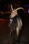 Salzkammergut-Krampuslauf 13688045