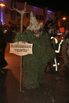 Salzkammergut-Krampuslauf 13688050