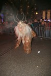 Salzkammergut-Krampuslauf 13688069