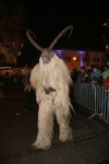 Salzkammergut-Krampuslauf 13688097