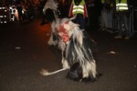 Salzkammergut-Krampuslauf 13688099