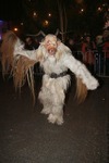 Salzkammergut-Krampuslauf 13688126