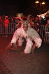 Salzkammergut-Krampuslauf 13688170