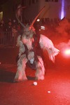 Salzkammergut-Krampuslauf 13688206