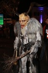 Salzkammergut-Krampuslauf 13688246