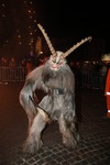 Salzkammergut-Krampuslauf 13688329