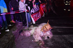 Krampus- und Perchtenlauf 13689094