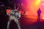 Krampus- und Perchtenlauf 13689247