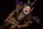 Krampus- und Perchtenlauf 13689313