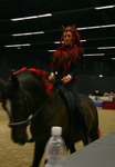 Amadeus Horse Indoors 13693335