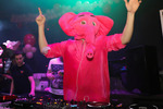 Pink Elephant Land 13723376