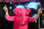 Pink Elephant Land 13723417