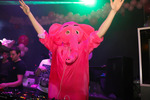 Pink Elephant Land 13723428