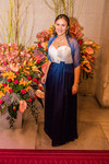 95. Blumenball der Stadt Wien Thema 13733562