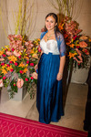 95. Blumenball der Stadt Wien Thema 13733563