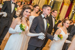 95. Blumenball der Stadt Wien Thema 13733614